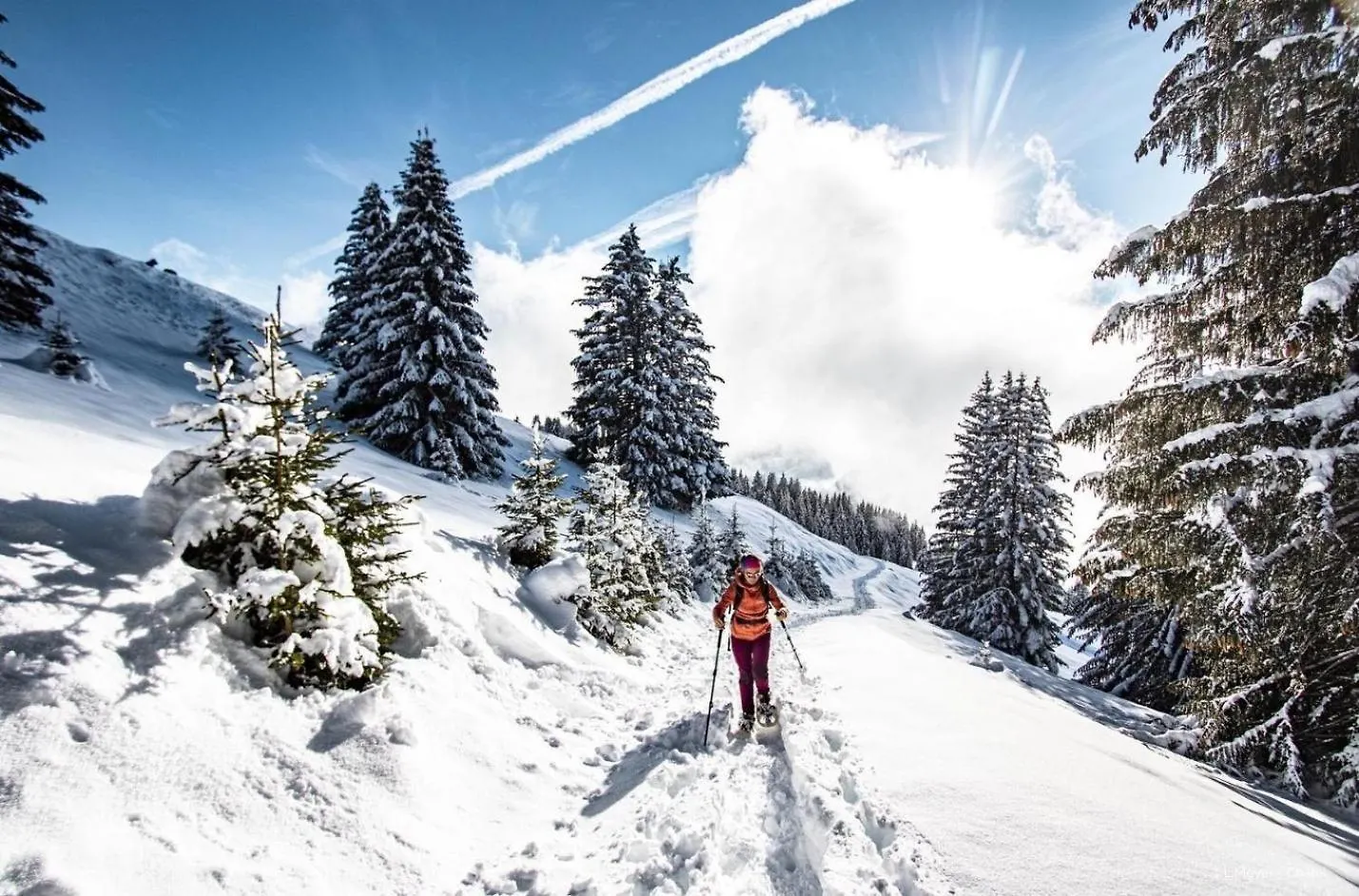 Portes Du Soleil Psb196 Telecabine & Mountain 4 Per 沙泰勒